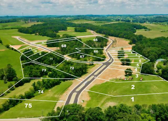 Property at LOT6 832 Sophie Dr, Greenback, TN 37742