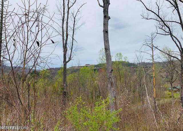 Property at Loop Rd Rd, Gatlinburg, TN 37738