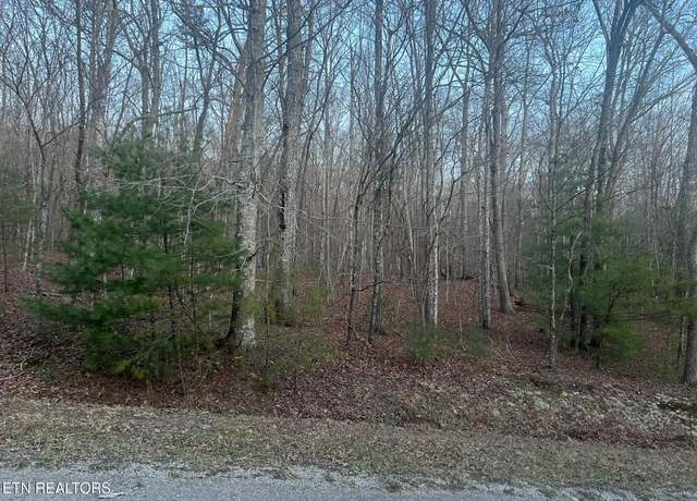 Property at 16 Homberg Ln, Fairfield Glade, TN 38558