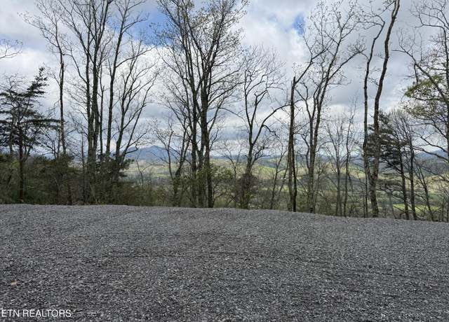 Property at 3.93 Acres Green Forest Rd, Cosby, TN 37722
