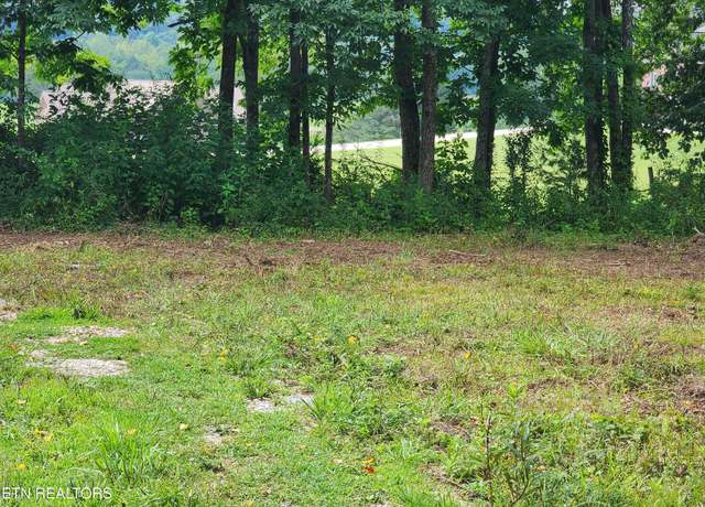 Property at 163 Woodvine St, Jacksboro, TN 37757