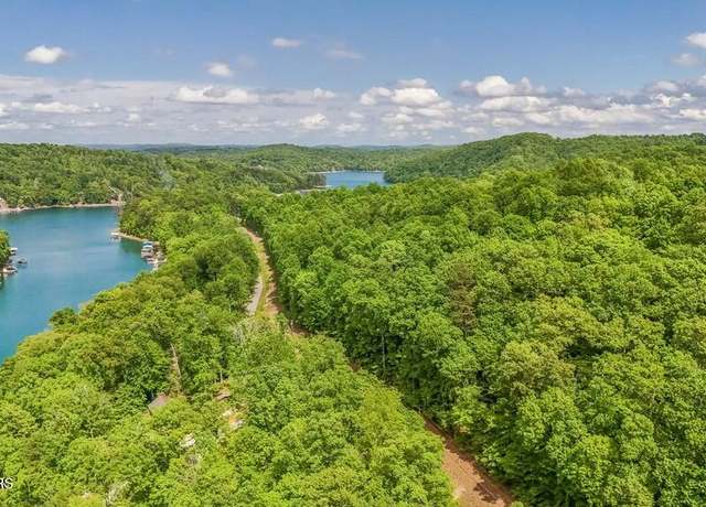 Property at Yoakum Hollow Rd, Jacksboro, TN 37757