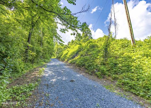 Property at TBD Blue Mill Rd, Del Rio, TN 37727