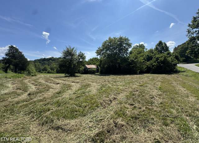 Property at Leadvale Church Rd, White Pine, TN 37890