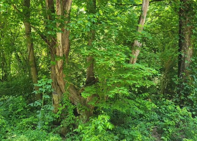Property at Unicoi Church Rd, Tellico Plains, TN 37385