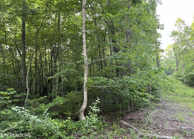 Property at Carson Town Rd, Sunbright, TN 37872