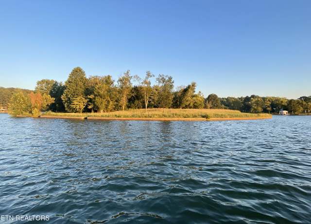 Property at Torbett Rd, Spring City, TN 37381