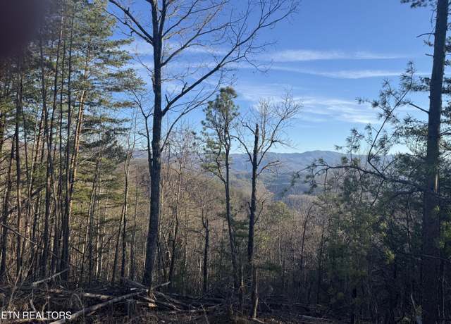 Property at Rudd Hollow Rd, Townsend, TN 37882