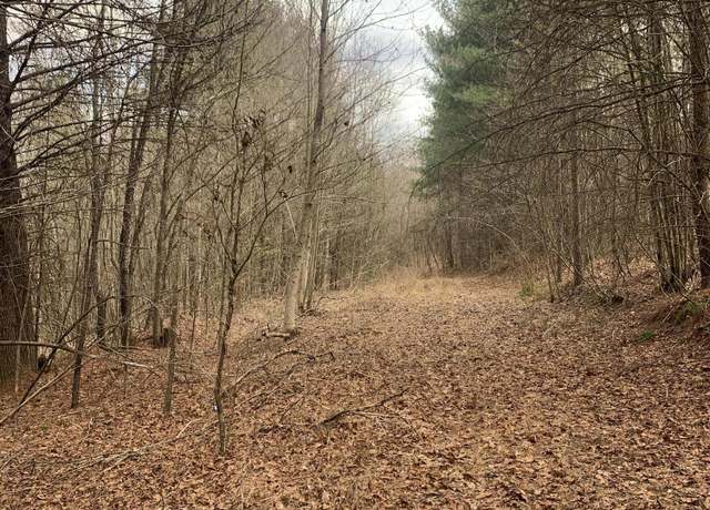 Property at 117 Coon Creek Rd, Sunbright, TN 37872