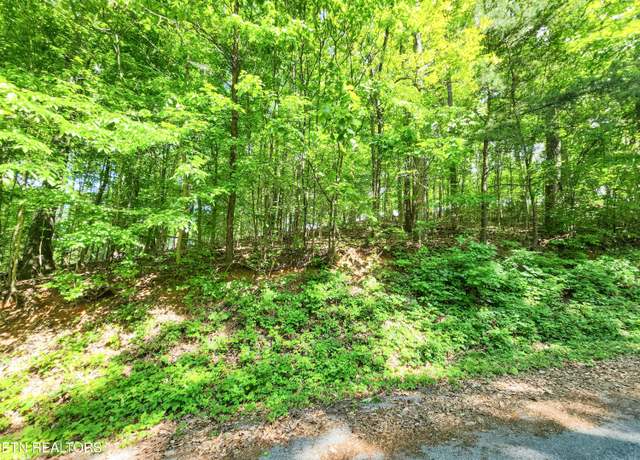 Property at 208 Sara Ln, Maynardville, TN 37807