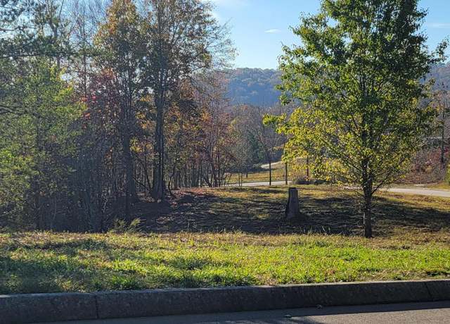 Property at 308 Caney View Dr, Harriman, TN 37748