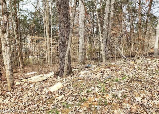 Property at Lot 6 Lynn Drive Dr, Maynardville, TN 37807