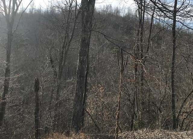 Property at 019 007.01 E of US RT 27, Sunbright, TN 37872