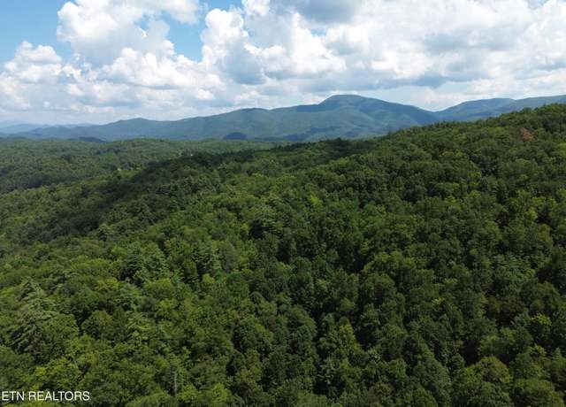Property at Bull Mountain Rd, Del Rio, TN 37727