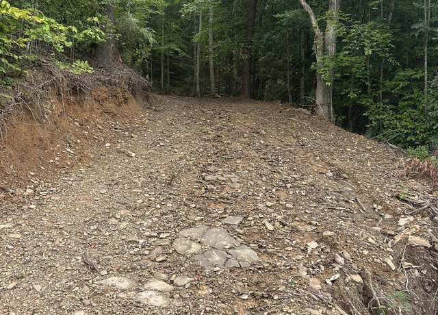 Property at Lot 2 US Hwy 119, Calvin, KY 40813