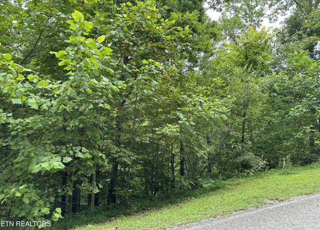Property at lot 21 Ridge Rd, Caryville, TN 37714