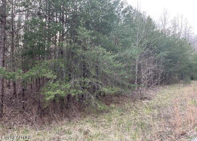 Property at 00 Deep Branch Ln, Wilder, TN 38589