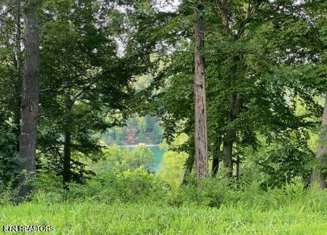 Property at 220 - 221 Suncrest Cv, Lafollette, TN 37766