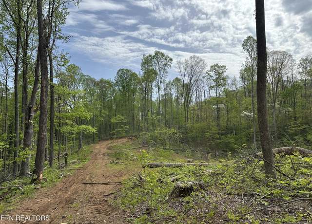 Property at Easterly Cir, Rocky Top, TN 37769