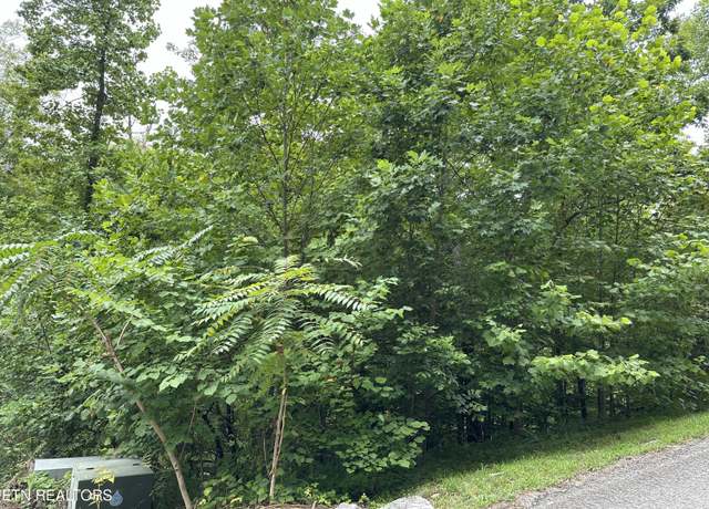 Property at lot 22 Ridge Rd, Caryville, TN 37714
