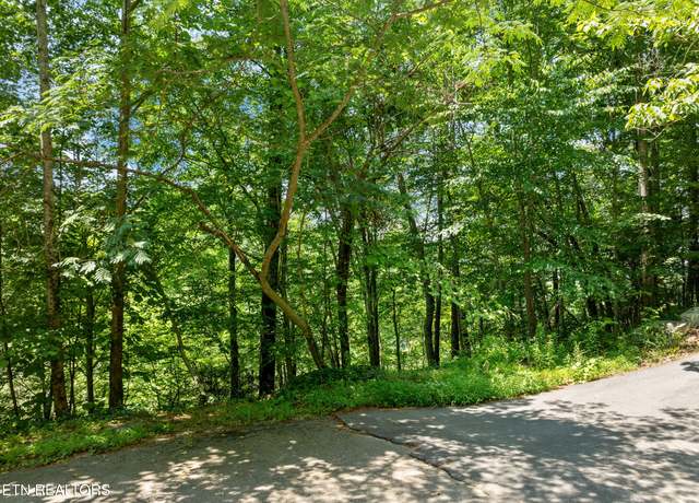 Property at Lot 24&25R Cascades Ct, Sevierville, TN 37862