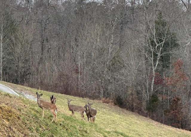 Property at 501 Cedar Gate Ln, Lafollette, TN 37766