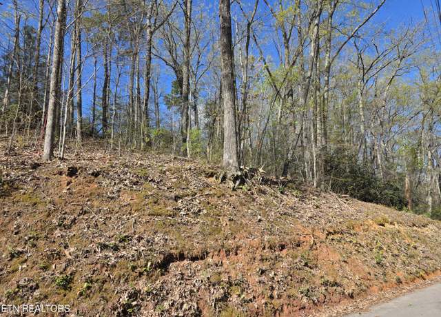 Property at Carter Plaza Lot 2, Gatlinburg, TN 37738