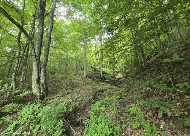 Property at 00 Left Poor Valley Rd, Pennington Gap, VA 24277