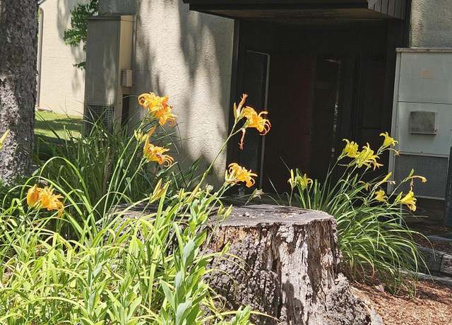 Property at 115 Beechnut St Unit E5, Johnson City, TN 37601, 1 bed, 1.5 baths