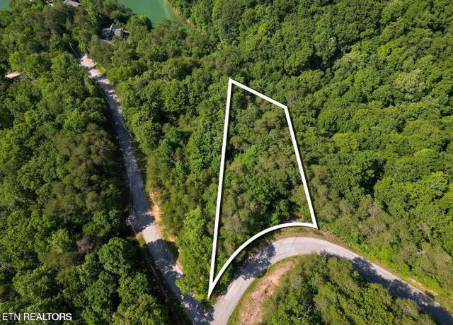 Property at 156 Lakeview Dr, Sharps Chapel, TN 37866