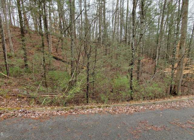 Property at Lot 11 Peace Ln, Sevierville, TN 37876