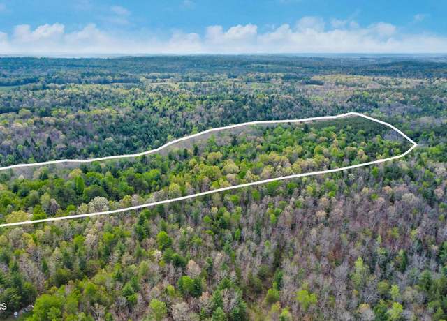 Property at 55.91 Acres Old Collins Rd, Deer Lodge, TN 37726
