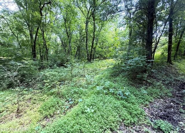 Property at 3697 Sane Rd, Parrottsville, TN 37843