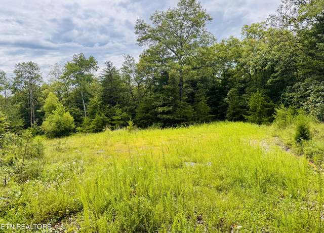 Property at Collins Tpke, Deer Lodge, TN 37726
