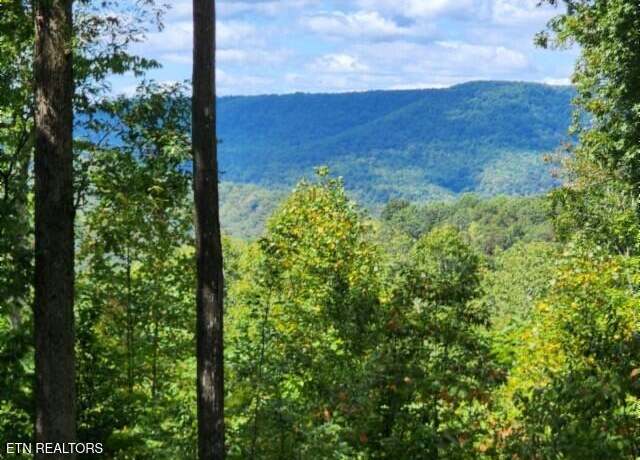 Property at Lot 73 Tomahawk Rd, Jamestown, TN 38556