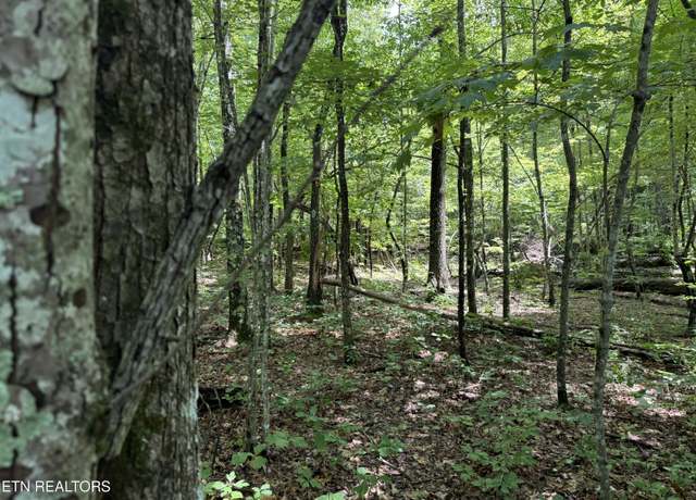 Property at Icy Cove Trl, Monterey, TN 38574