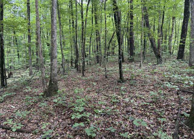 Property at Icy Cove Trl, Monterey, TN 38574