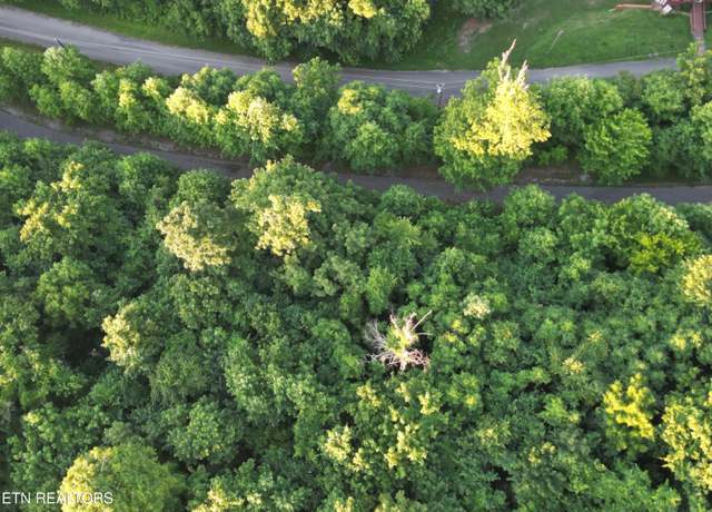 Property at Eagles Cove Pkwy, Maynardville, TN 37807