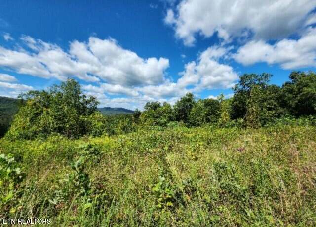 Property at 14.34ac Tomahawk Rd, Jamestown, TN 38556