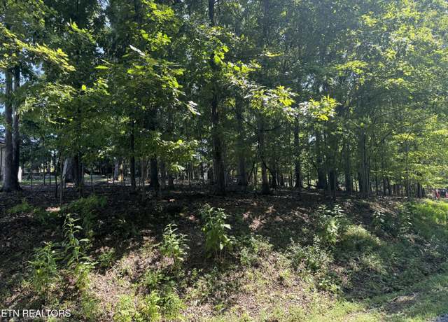 Property at 227 Chahyga Cir, Loudon, TN 37774
