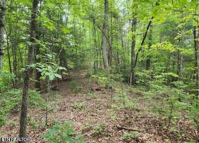 Property at Pea Hollow Rd, Sevierville, TN 37876
