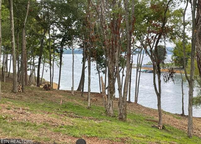 Property at Lot 39 English Mountain Pt, White Pine, TN 37890