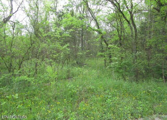 Property at Silent Ln, Rutledge, TN 37861