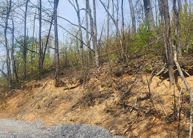 Property at Lot 16 Headrick Lead, Sevierville, TN 37876