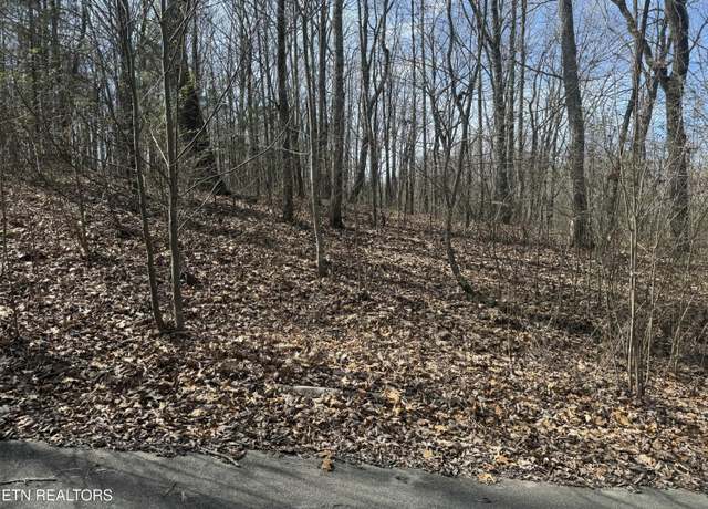 Property at 975 County Road 316 Lot 139, Niota, TN 37826