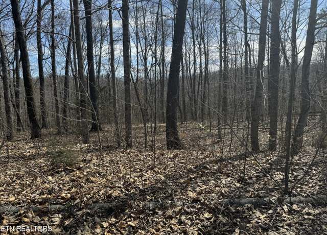 Property at 975 County Road 316 Lot 178, Niota, TN 37826