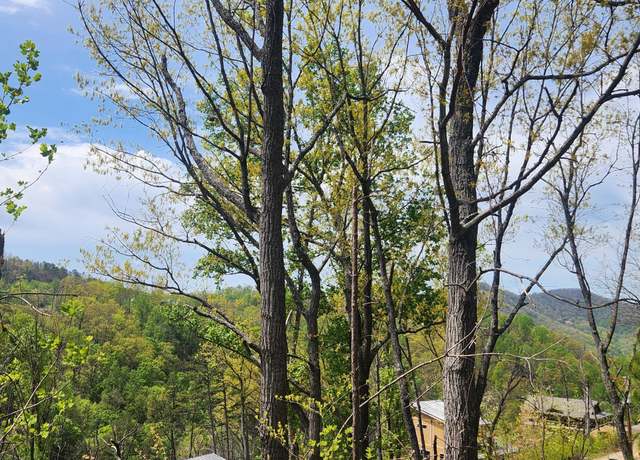 Property at Lots 15&16 Headrick Lead, Sevierville, TN 37876