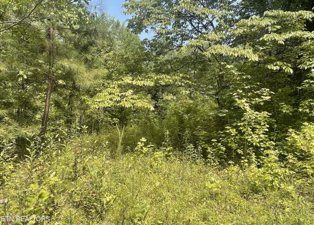 Property at 282 County Road 285, Niota, TN 37826