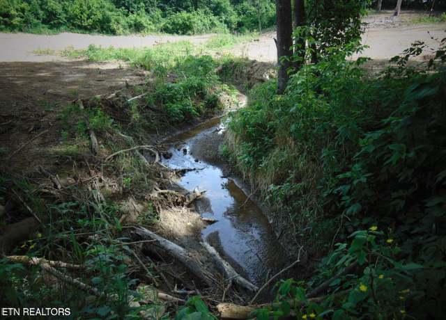 Property at Aaron Davis, Speedwell, TN 37870
