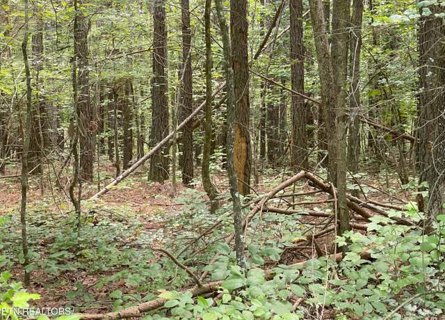 Property at 5.02 Acres County Road 285, Niota, TN 37826